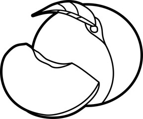 Peach coloring outline illustration vector