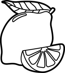 Fototapeta premium Lemon coloring outline illustration vector