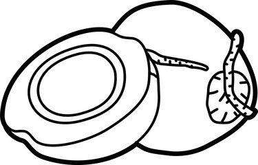 Coconut coloring outline illustration vector