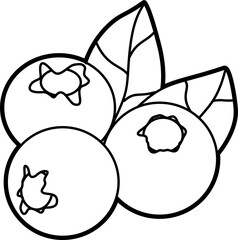 Blueberry coloring outline illustration vector