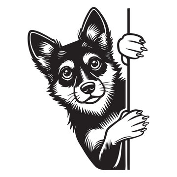 recommend clip art: Swedish Vallhund Dog Peeking Face Clipart -  Peeking Dog Vector illustration in black and white
                    