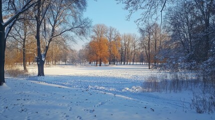 beautiful winter landscape in the park on a sunny frosty day.