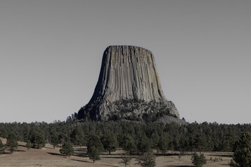 Blank and white photo of the Devils Tower national monument in Wyoming.