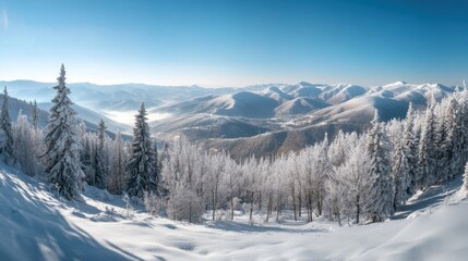 Beautiful winter landscape with snow covered trees. Nature landscape.