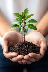 A person holding a small green plant in soil, symbolizing growth, care, and environmental consciousness.