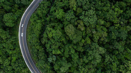 Aerial view car drive in green tree forest road winding road through the forest, Car drive on asphalt road between green tree forest, Electric vehicle EV car drive on asphalt road green tree forest.
