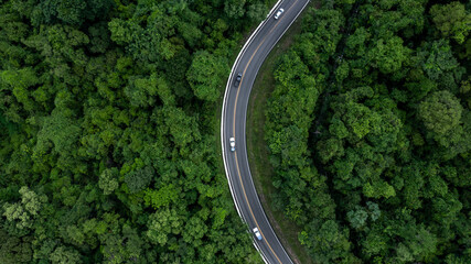 Aerial view car drive in green tree forest road winding road through the forest, Car drive on asphalt road between green tree forest, Electric vehicle EV car drive on asphalt road green tree forest.