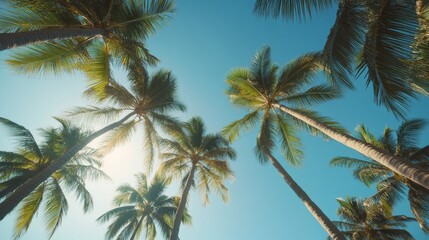 102. High-quality slow-motion shot of tall palm trees swaying gently in the breeze, viewed from below with a clear blue sky as the backdrop, highlighting the serene tropical island atmosphere