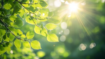 111. Sunbeams piercing through the green leaves of a tree, with rays of light creating lens flares and the foliage gently waving in the wind, capturing the essence of a sunny spring day