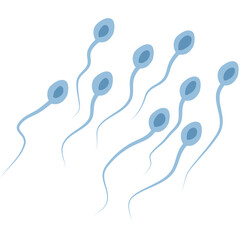 Spermatozoa