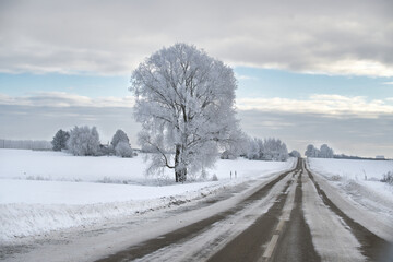 Obraz premium Serene winter landscape with a lonely road and frost-covered trees under a cloudy sky