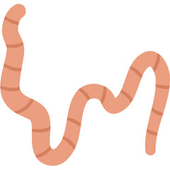 Flat Roundworm