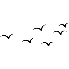 Seagull Flying Bird Silhouette