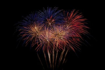 Fototapeta premium Vibrant Fireworks Display Against a Dark Sky