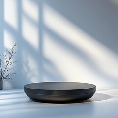 Minimalist black ceramic plate or bowl on light gray background with soft shadows