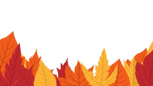 autumn season seamless background with autumn leaves animation thanks giving celebration footage video	