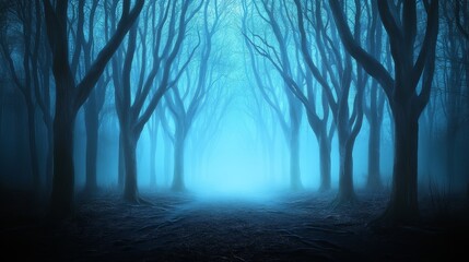 Obraz premium Mysterious Blue Forest Path in Fog