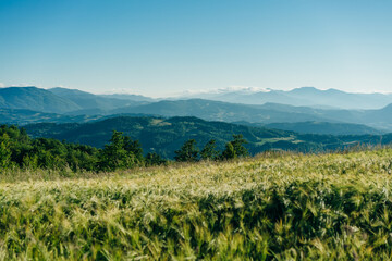 Via Degli Dei hiking trail in Italy. from Bologna to Florence. Ancient Roman path