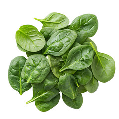 Obraz premium Close-up Shot of Fresh Green Spinach Leaves on Clean White Background