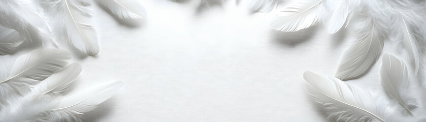 Delicate White Feather Outline Frame: Emphasizing Emotional Lightness for Janeiro Branco � Medium Shot with Isolated Copy Space for Stress Relief Techniques