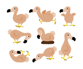 Set of extinct dodo bird cartoon collection, Raphus cucullatus illustration, wildlife fauna conservation, isolated on white background. Endemic species of flightless bird raphus cucullatus Mauritius. © vesvocrea