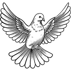Hand drawn Dove Flying Sketch Illustration Engraving Woodcut Vintage Style Vector Line Art