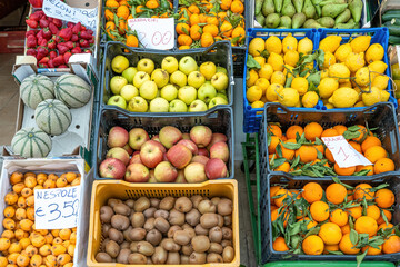 Great choice of fruits for sale at a market
