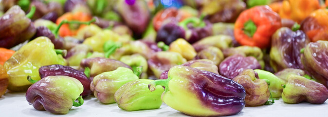 Fall And Winter Garden Vegetables