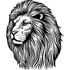Hand drawn Lion Head Sketch Illustration Engraving Woodcut Vintage Style Vector Line Art