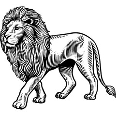 Hand drawn Lion Walking Sketch Illustration Engraving Woodcut Vintage Style Vector Line Art