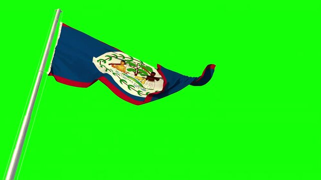 flag of Belize is waving on heavy wind on green screen, isolated
