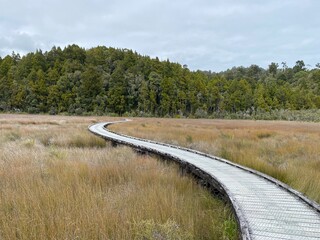 Wooden broadwalk along wetlands, walking trail