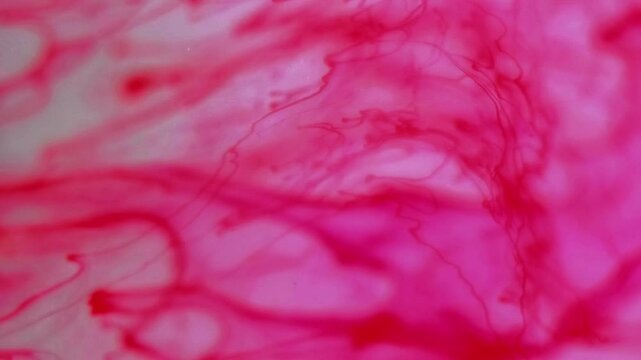 Ink water. Paint symmetric. Defocused red color splashing capillaries liquid bloody dripping trickles ornament flow motion abstract art background.