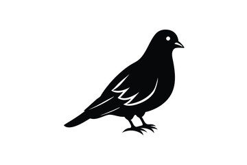 Cute drove Bird vector art illustrations