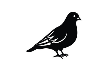 Cute drove Bird vector art illustrations