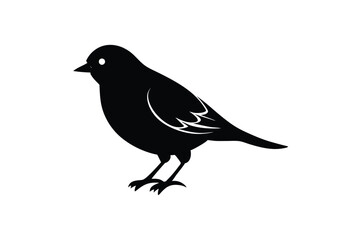 Dove Bird vector art and illustration