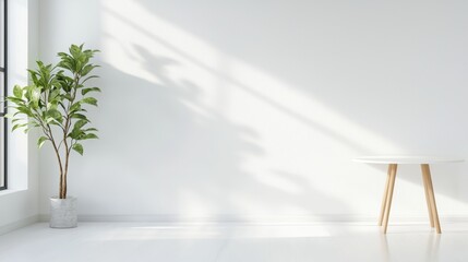 White Room Interior with Round Table  Plant  and Sunlight