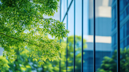 A close up of the reflection in modern glass window