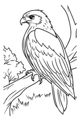 Hawk on a Branch Coloring Page, for coloring books or educational materials about birds