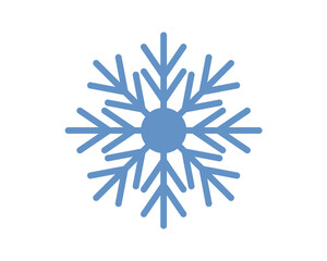 Obraz premium snowflake