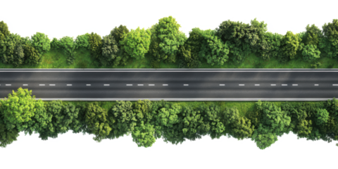 road and grass on a white background