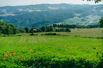 Direction sign on the Via degli Dei or The Gods way in the Apennines mountains in Italy, between Bologna and Florence