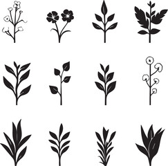 Potted Plants Icon Set