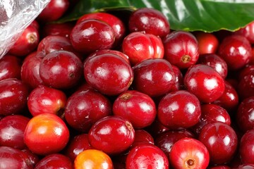 Fresh ripe red plums in plastic bag