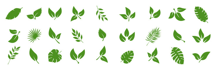 Leaves of trees and plants. Tropical leaves. Set of green leaf icons. Leaves on white background. Ecology. Vector illustration.
