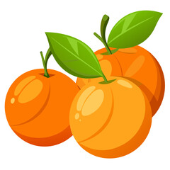 Fresh juicy ripe oranges with vibrant colors perfect for healthy eating, food designs, and vitamin C-rich fruit illustrations