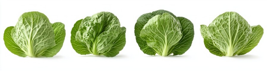 Fresh green cabbage and bok choy leaves, vibrant and crisp, isolated on a transparent background, ideal for graphic design, culinary illustrations, or organic food presentations.