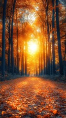 Autumnal Landscape with Sunbeams in the Park