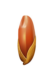 1 seed of riceberry with white background