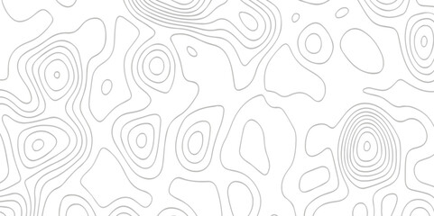 Topography map crave white wave relief line grid abstract background. geometric Line topography map contour background.